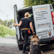 Walk this way professional dog training Carrickfergus County Antrim work van transport